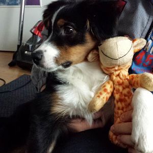spielen
