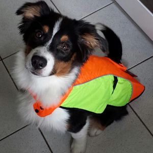 Lets play in the rain!