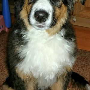 Jetzt bin ich schon sooo groß