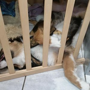 "bequeme" Schlafposition?