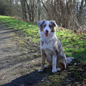 2015 02 14 Aura1.1 klein