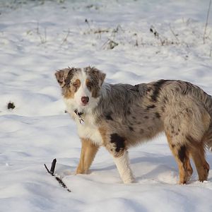 10906572 969796239697573 2269793672073645177 n