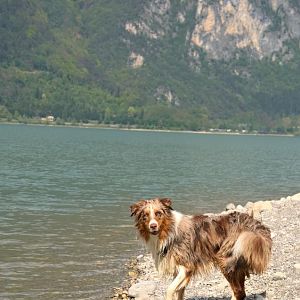 Urlaub am Ledrosee