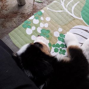 20150606 081040