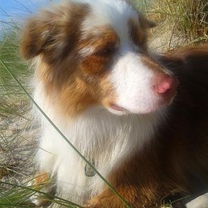 Urlaub an der Ostsee