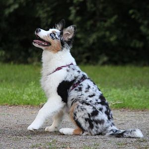 Amy im Trainingsmodus 8=)