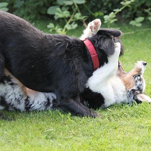 Ich beiß Dich, Du beißt mich <3