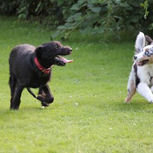 Die beiden hatten richtig viel Spaß heute
