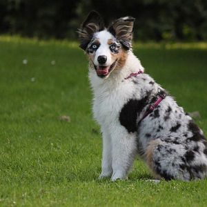 Posen wie ne große <3