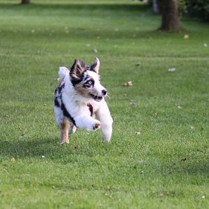 Spielen, Fangen und Toben ^^