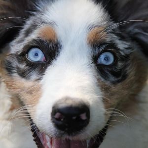 Schau mir in die Augen 8)