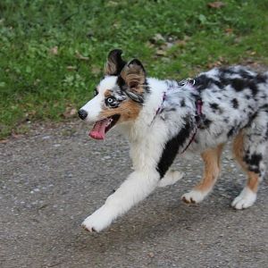 Amy - Momentaufnahme