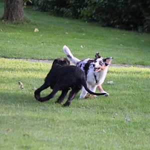 einfach süß die beiden <3