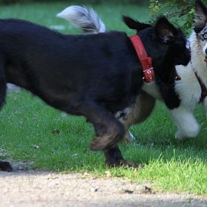 gleich fliegen die Augen raus 8)