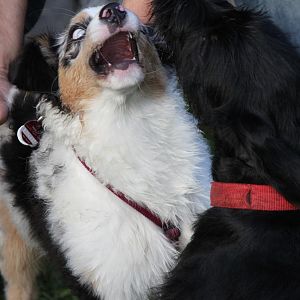 mal ein bissl crazy gucken !