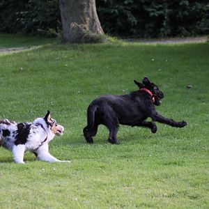 Einfach Klasse die beiden <3