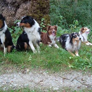 Aussietreffen Whttp://www.aussie.de/forum/album.php?albumid=362&attachmentid=7266eixerau 020