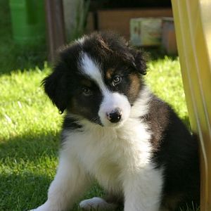 noch ganz klein im Mai