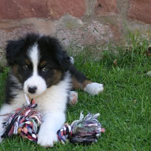 den bekomme ich klein