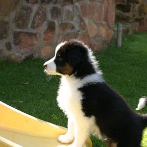 Auf die Rutschbahn will ich mal rauf