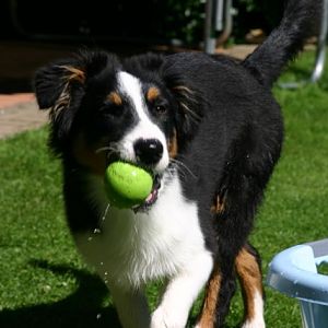 Bälle und Wasser sind klasse