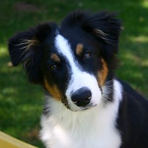 und wenn ich so guck, krieg ich dann was?