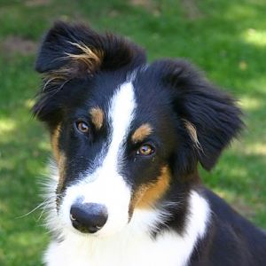 bekomme ich was wenn ich so guck