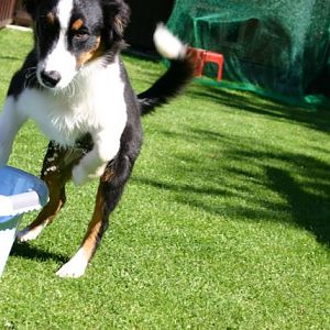 ja ich springe nochmals rein