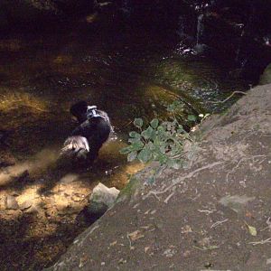 jack am14.08.12 01http://www.aussie.de/forum/album.php?albumid=368&attachmentid=73660