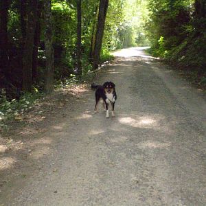 jack am14.08.12 011http://www.aussie.de/forum/album.php?albumid=368&attachmentid=7367