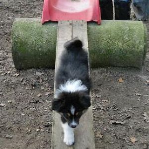 Früh übt sich, was ein Meister werden will ...