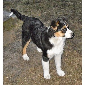 Huhuuu wo seit ihr alle?