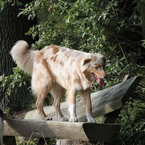 Peach zeigt Amy wie man posiert 8=)