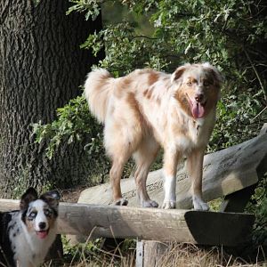 da ist die Kamera ^^