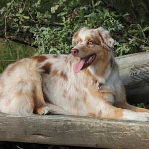 Peach beim gewohnten posen <3