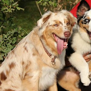 Finally das Abschlußfoto der beiden süßen <3