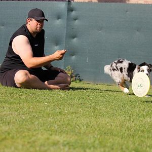 da rollt die Frisbee