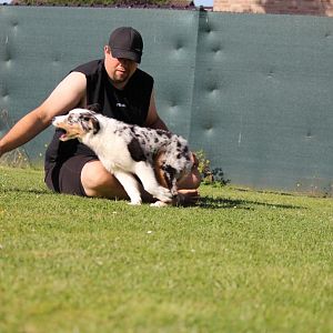 Wo ist die Frisbee ?