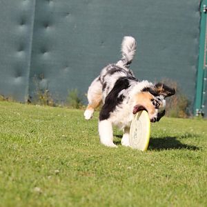 Du entkommst mit nicht <3