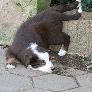 Wie Jenna (ehem.Honor) heute ihren heißesten Tag verlebte...