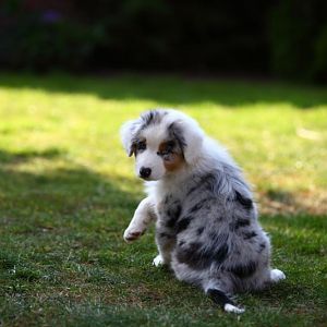 IMG 2922Hope zweiter Tag