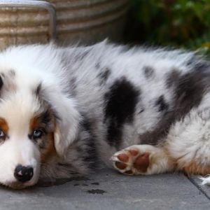 IMG 2964Hope zweiter Tag