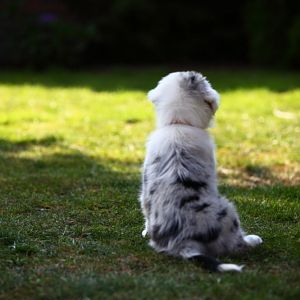 IMG 2921Hope zweiter Tag