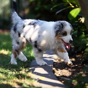 IMG 2935Hope zweiter Tag