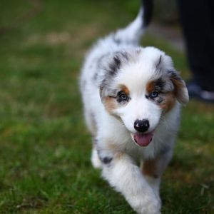 IMG 2946Hope zweiter Tag