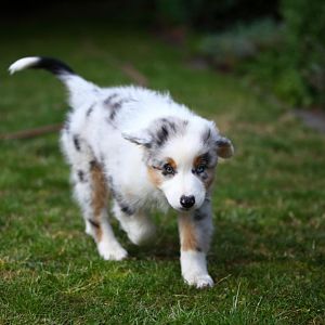 IMG 2944Hope zweiter Tag