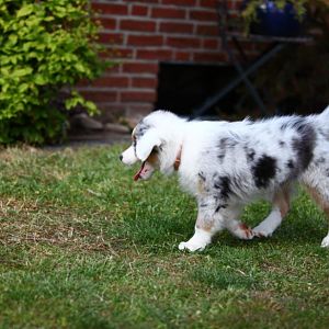 IMG 2954Hope zweiter Tag