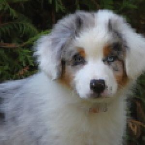 IMG 2972Hope Portrait