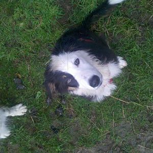 2015 07 20 20 00 21 791