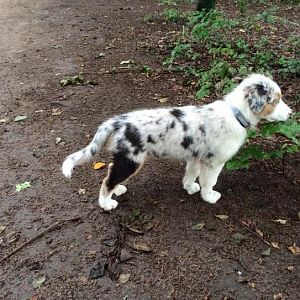 11780036 596729643764094 7556168169703045505 o